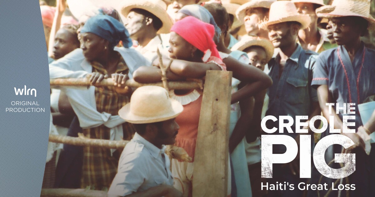 Discover the untold story of Haiti's economic downfall